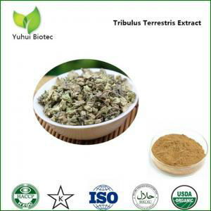 Tribulus terrestris Extract