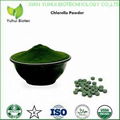 organic chlorella powder