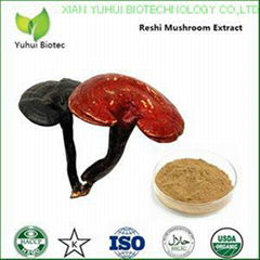 organic ganoderma extract