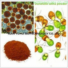 Anti cancer eye protecting Natural Salt algae extract,salt algae powder