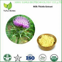 pharmaceutical grade silymarin,milk thistle extract silymarin,silymarin 80%