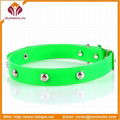 pet training collar