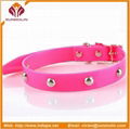 Dongguan factory supply TPU waterproof dog collar 4