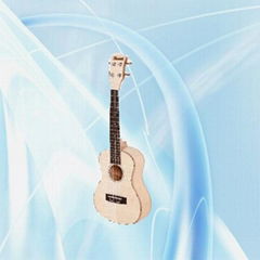 wyj4540" Acoustic guitar
