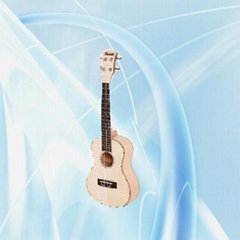 wyj4541" Acoustic guitar