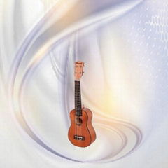 wyj4541" Acoustic guitar