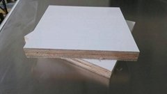 FRP fiberglass plywood panel 