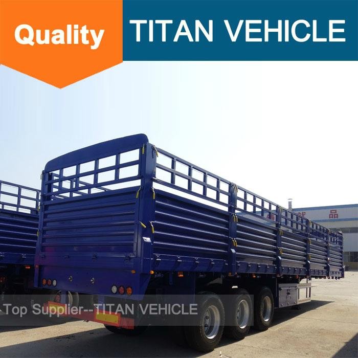 TITAN 40ft Cargo Fence Semi Trailer for transport container