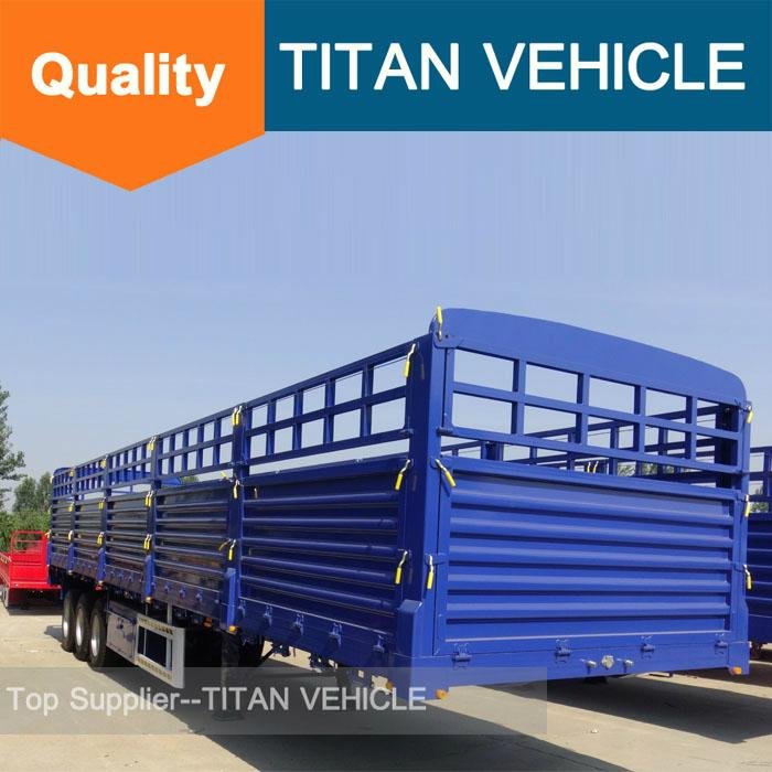 TITAN 40ft Cargo Fence Semi Trailer for transport container 2