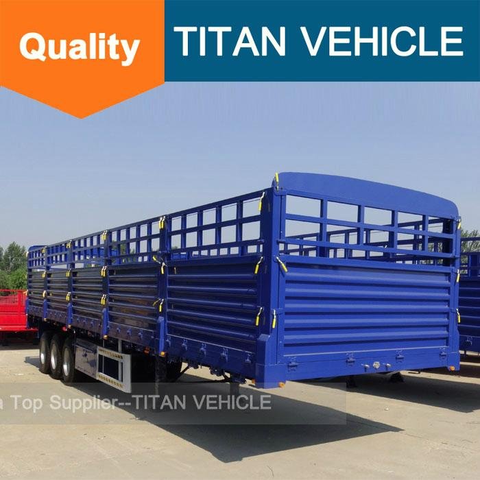 TITAN 40ft Cargo Fence Semi Trailer for transport container 4