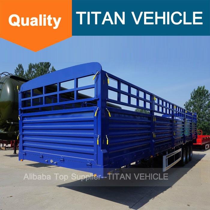 TITAN 40ft Cargo Fence Semi Trailer for transport container 5