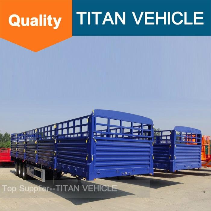 TITAN 40ft Cargo Fence Semi Trailer for transport container 3