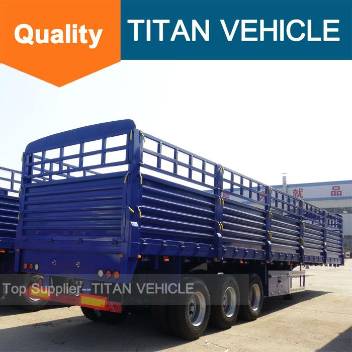 TITAN 40ft Cargo Fence Semi Trailer for transport container 6