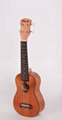 21’’ ukulele ZXS-66 1