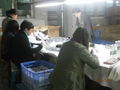 During Production Inspection in China 1