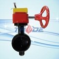Grooved end butterfly valve 2