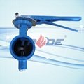 Grooved end butterfly valve 4