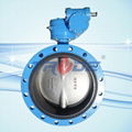 Double Flanged Butterfly Valve