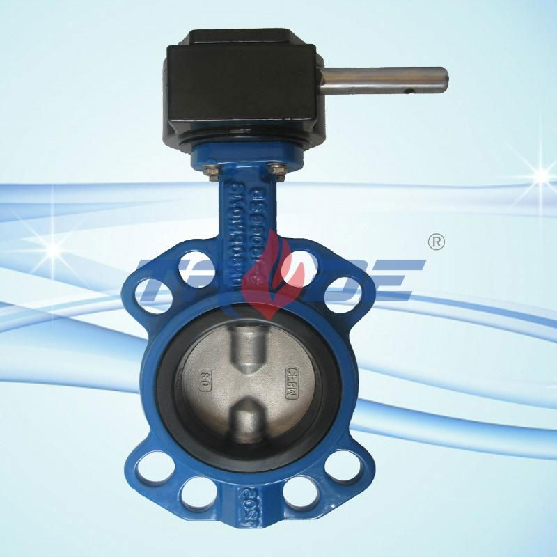 Lug Butterfly Valves soft seat 5