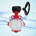 PTFE lined butterfly valve 1