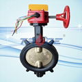 wafer butterfly valve for fire fighting