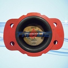 rubber lined check valve