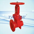 OS&Y Gate valve 1