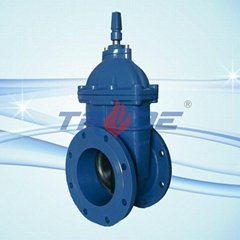 Non-rising gate valve