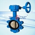 butterfly valve without pins 2
