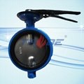 butterfly valve without pins 3
