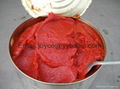 fresh tomato paste with concentration brix 28-30% 4