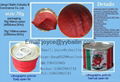 fresh tomato paste with concentration brix 28-30% 2