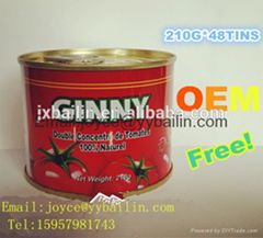 china hot sale 70g-3000g tomato paste