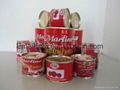 70g*50tins tomato paste export Afrika 7