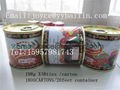 70g*50tins tomato paste export Afrika 6