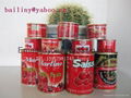 70g*50tins tomato paste export Afrika 5