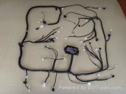 Auto wire harness 5