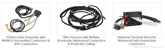 Custom truck engine Wire Harnesses  3