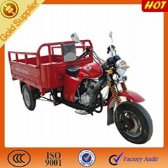 china cheapest adult tricycle /motorized trike