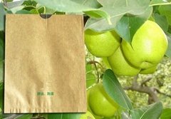 Pear growing paper bag