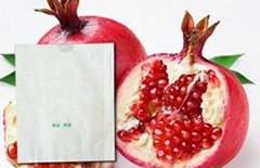 Pomegranate growing paper bag