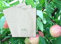 Peach growing paper  bag 3