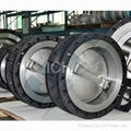 Double Eccentric Butterfly Valve