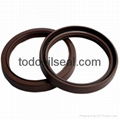 Oil seal 1