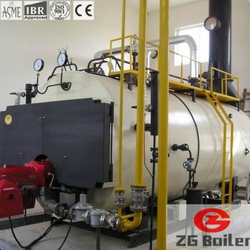 WNS Series Oil and Gas Fired Boilers in Soft Drinks Industry 