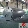 Vertical field assembly Gas Fired Boiler in Sea Food Factory  1