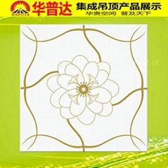 Metal Ceiling Tile for Decoration (HT-521)