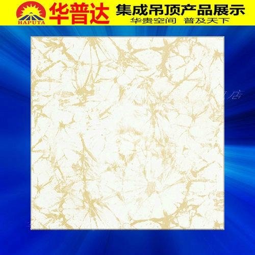 Integrated Metal Ceiling Panel for House Decoration (HT-561) 3