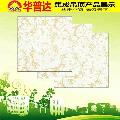 Integrated Metal Ceiling Panel for House Decoration (HT-561) 4