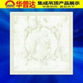 Rolling Stone Transfer Series Decorative Ceiling Tiles (HT-557)